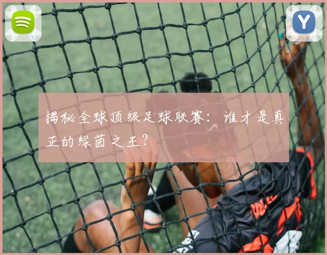 揭秘全球顶级足球联赛：谁才是真正的绿茵之王？